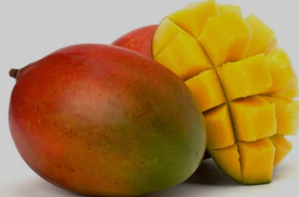 Kent Mangoes