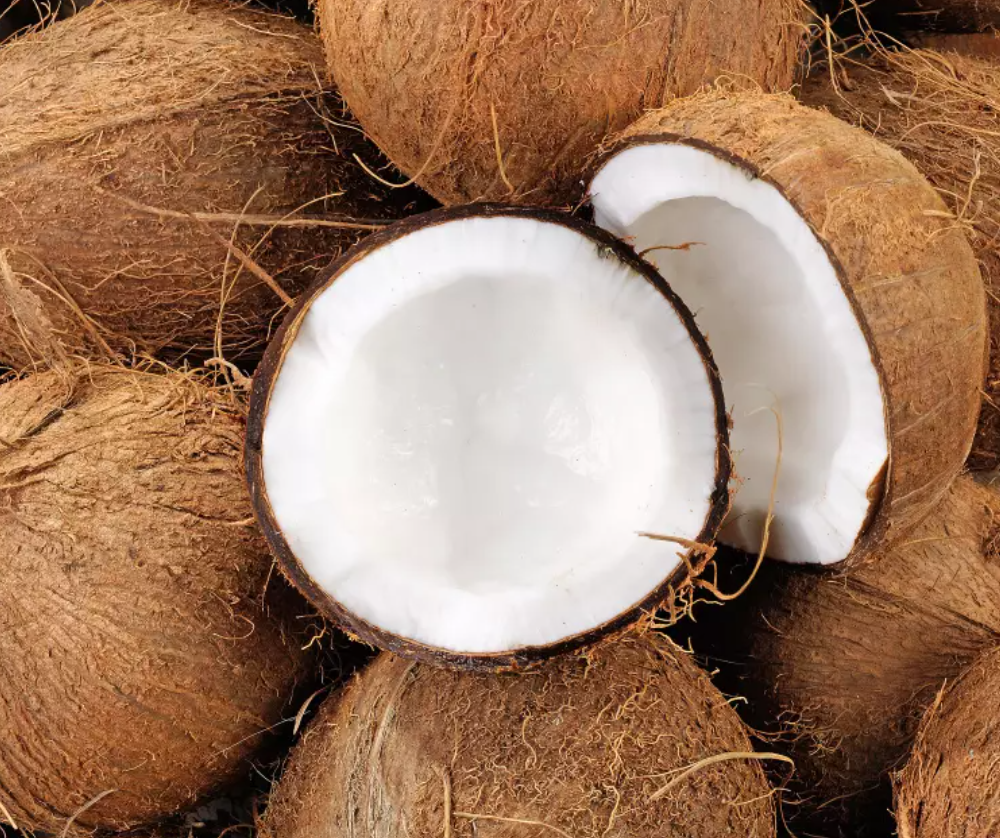 Coconuts